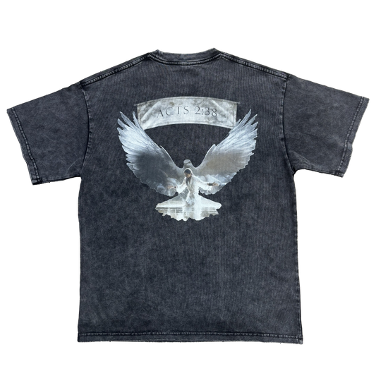 Acts 2:38 T-Shirt (black)